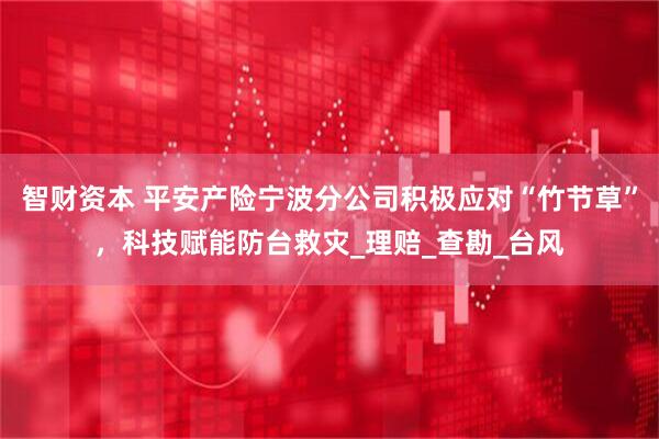 智财资本 平安产险宁波分公司积极应对“竹节草”，科技赋能防台救灾_理赔_查勘_台风