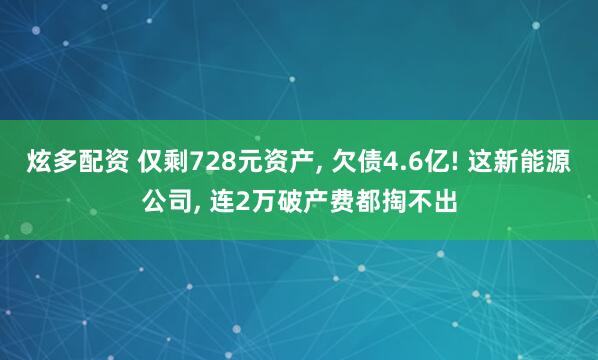 炫多配资 仅剩728元资产, 欠债4.6亿! 这新能源公司, 连2万破产费都掏不出