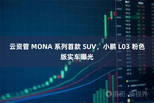 云资管 MONA 系列首款 SUV，小鹏 L03 粉色版实车曝光