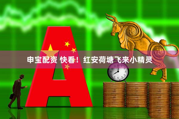 申宝配资 快看！红安荷塘飞来小精灵